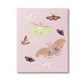 thumbnail image 1 of Stupell Industries Varied Moth Pattern Animals & Insects Painting Gallery Wrapped Canvas Art Print Wall Art, 36 x 48, 1 of 8