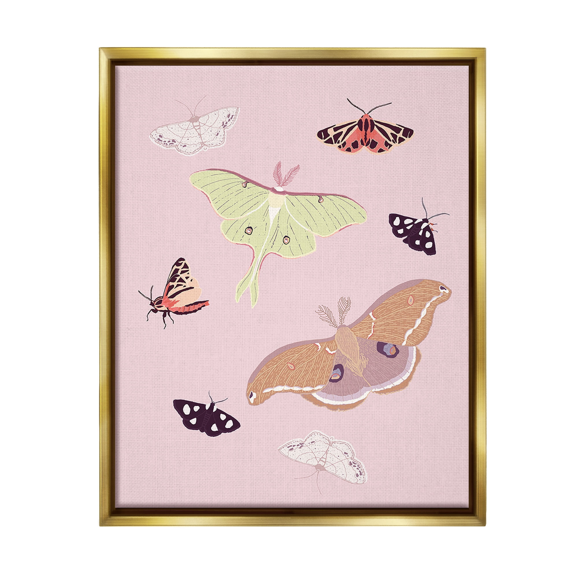 Stupell Industries Varied Moth Pattern Animals & Insects Painting Gold Floater Framed Canvas Art Print Wall Art, 25 x 31