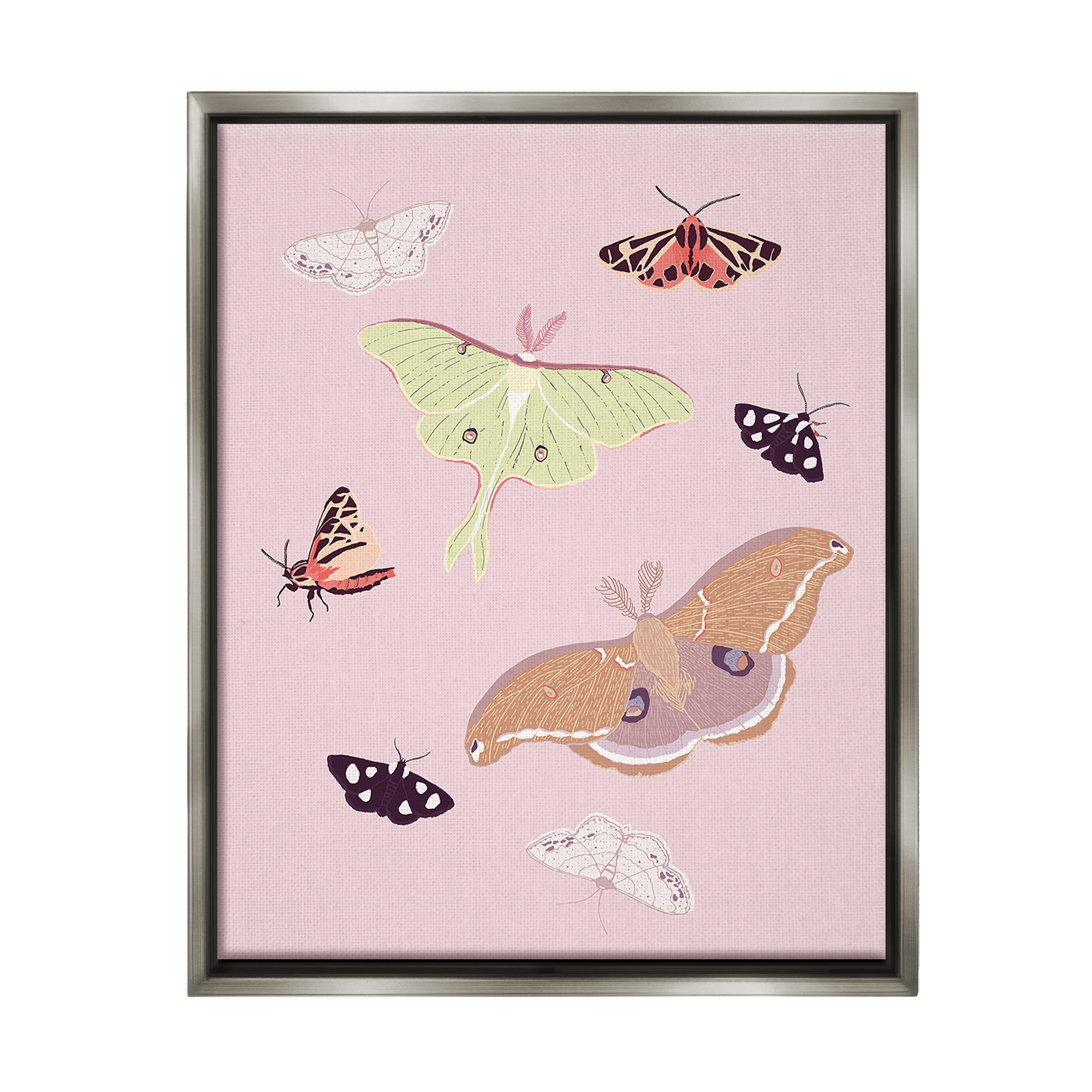 Stupell Industries Varied Moth Pattern Animals & Insects Painting Gray Floater Framed Canvas Art Print Wall Art, 25 x 31