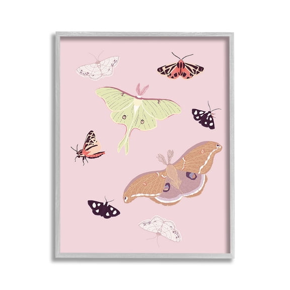 Stupell Industries Varied Moth Pattern Animals & Insects Painting Gray Framed Art Print Wall Art, 11 x 14