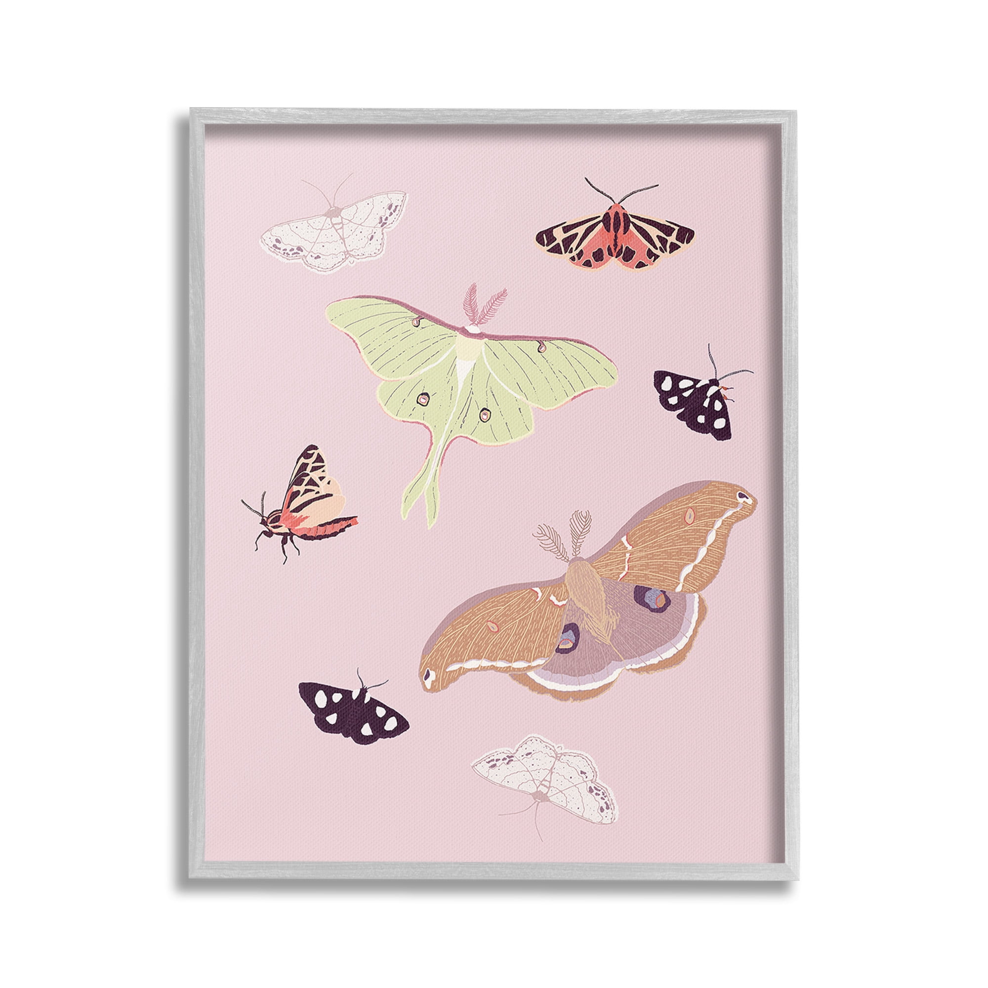 Stupell Industries Varied Moth Pattern Animals & Insects Painting Gray Framed Art Print Wall Art, 16 x 20