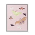 thumbnail image 1 of Stupell Industries Varied Moth Pattern Animals & Insects Painting Gray Framed Art Print Wall Art, 24 x 30, 1 of 9