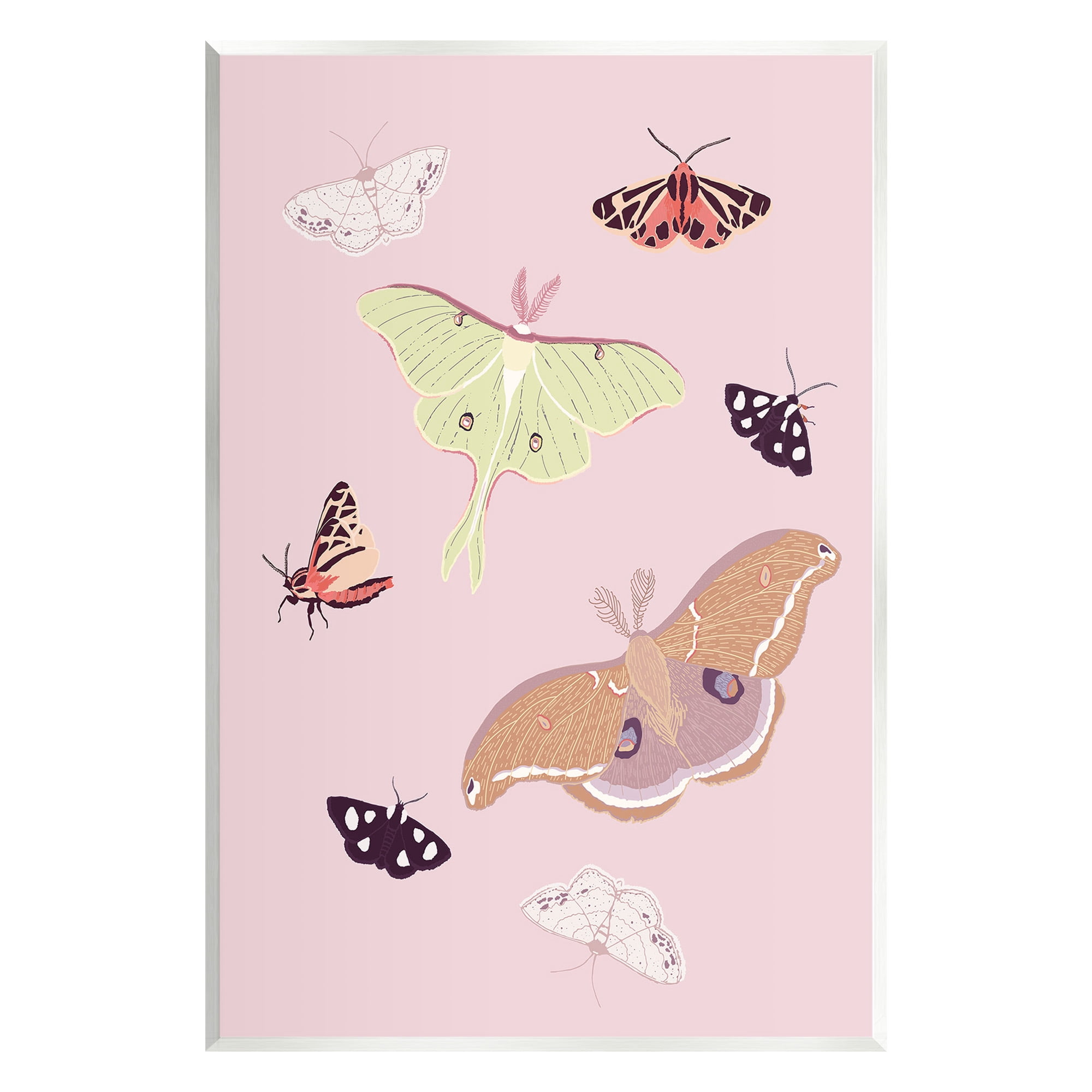 Stupell Industries Varied Moth Pattern Animals & Insects Painting Unframed Art Print Wall Art, 10 x 15
