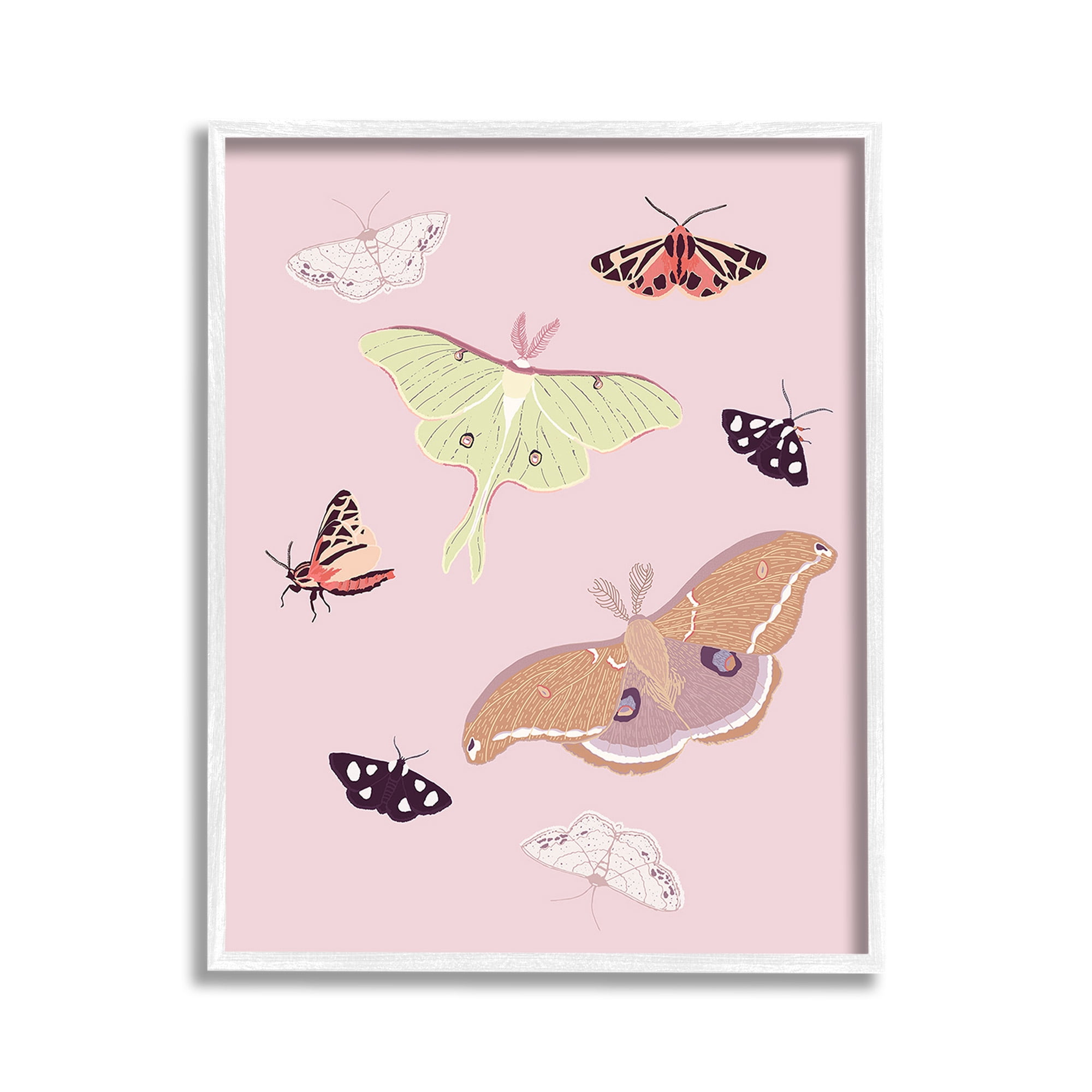 Stupell Industries Varied Moth Pattern Animals & Insects Painting White Framed Art Print Wall Art, 11 x 14