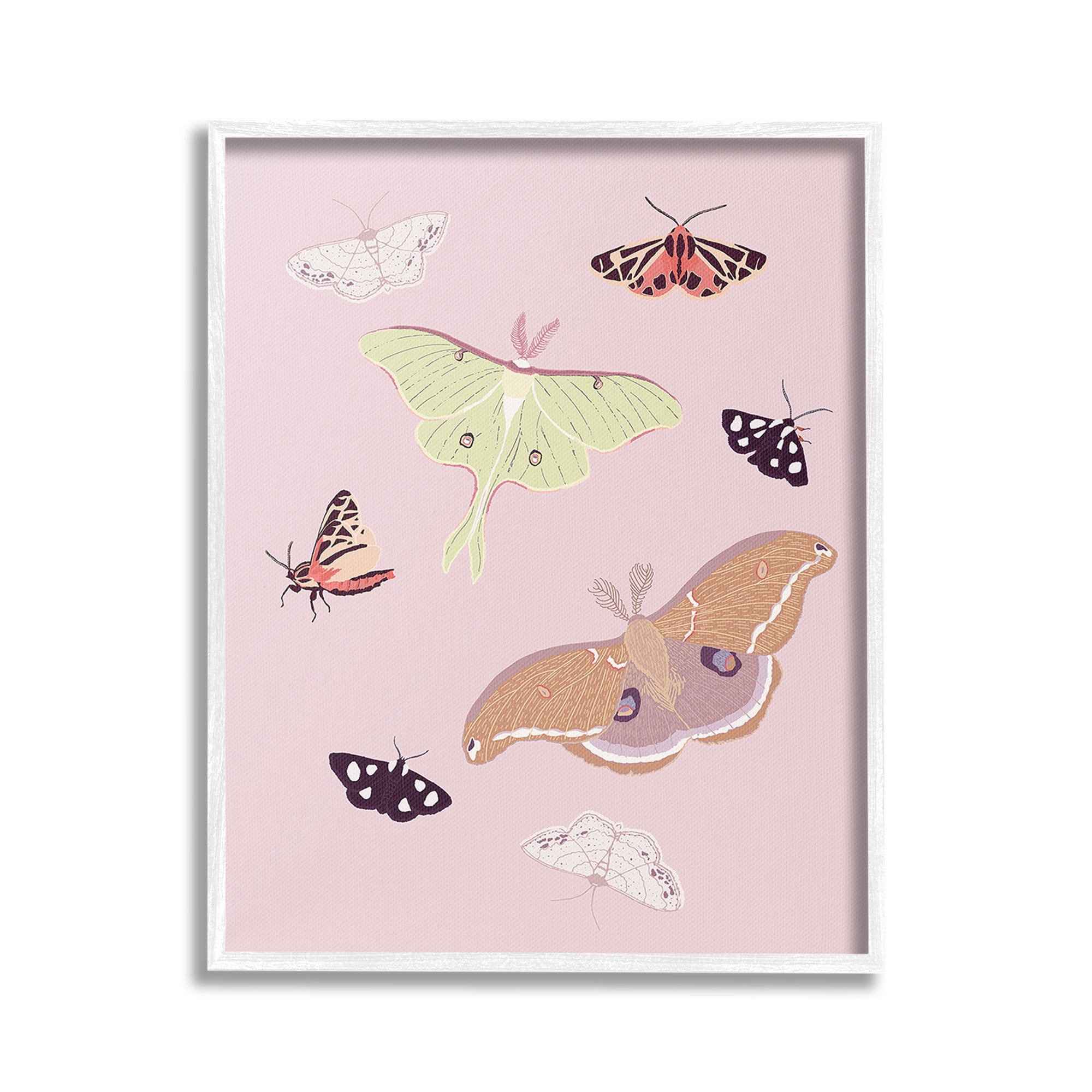 Stupell Industries Varied Moth Pattern Animals & Insects Painting White Framed Art Print Wall Art, 16 x 20