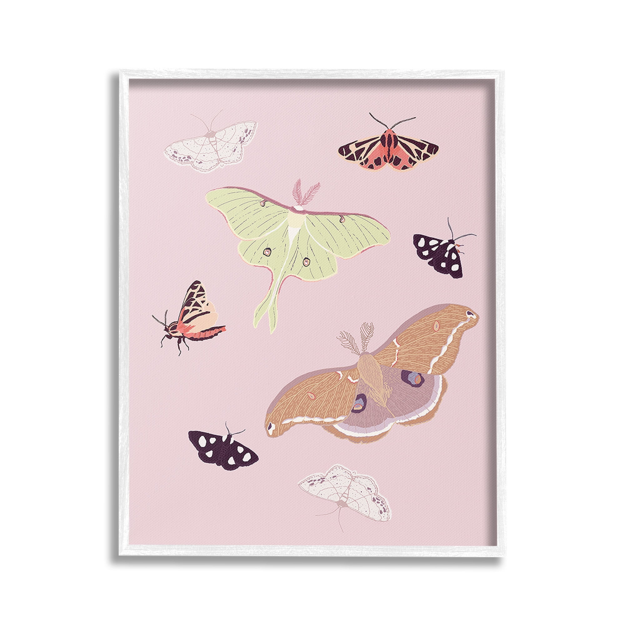 Stupell Industries Varied Moth Pattern Animals & Insects Painting White Framed Art Print Wall Art, 24 x 30