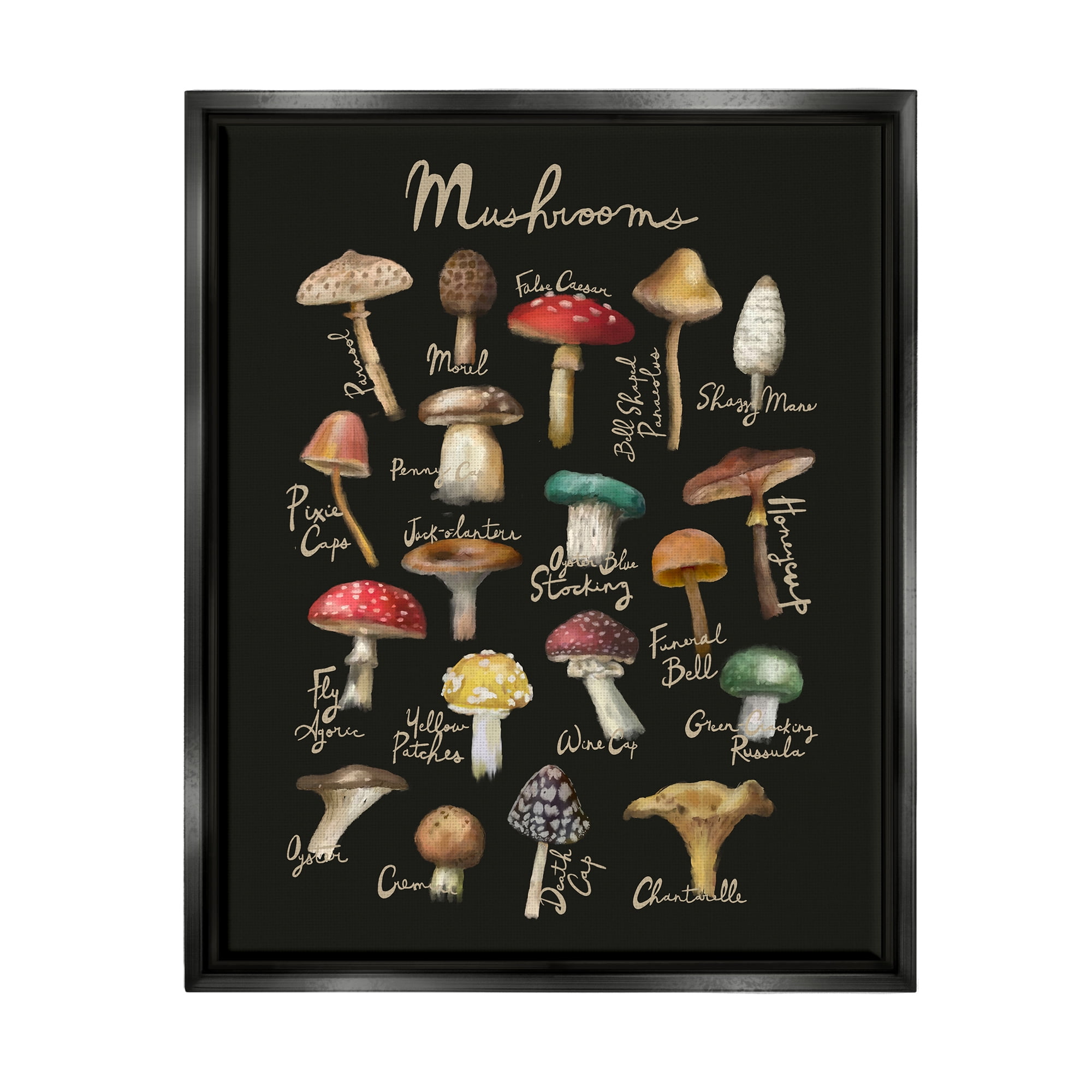 Stupell Industries Varied Mushrooms Kitchen Chart Landscape Painting Black Floater Framed Art Print Wall Art