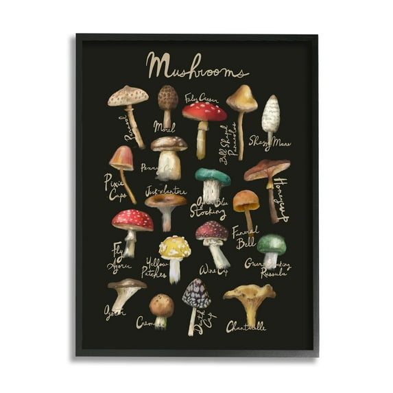Stupell Industries Varied Mushrooms Kitchen Chart Landscape Painting Black Framed Art Print Wall Art
