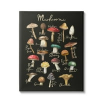 Stupell Industries Varied Mushrooms Kitchen Chart Landscape Painting Gallery Wrapped Canvas Print Wall Art
