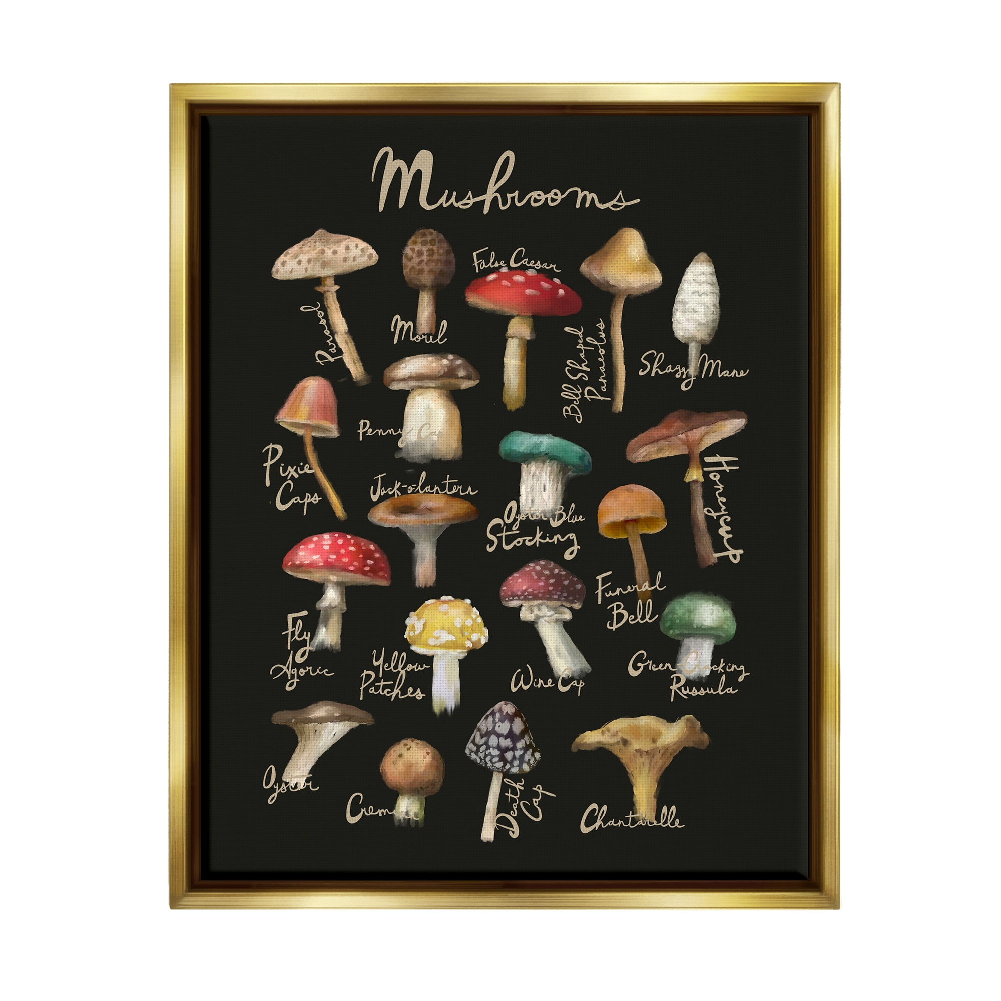 Stupell Industries Varied Mushrooms Kitchen Chart Landscape Painting Gold Floater Framed Art Print Wall Art