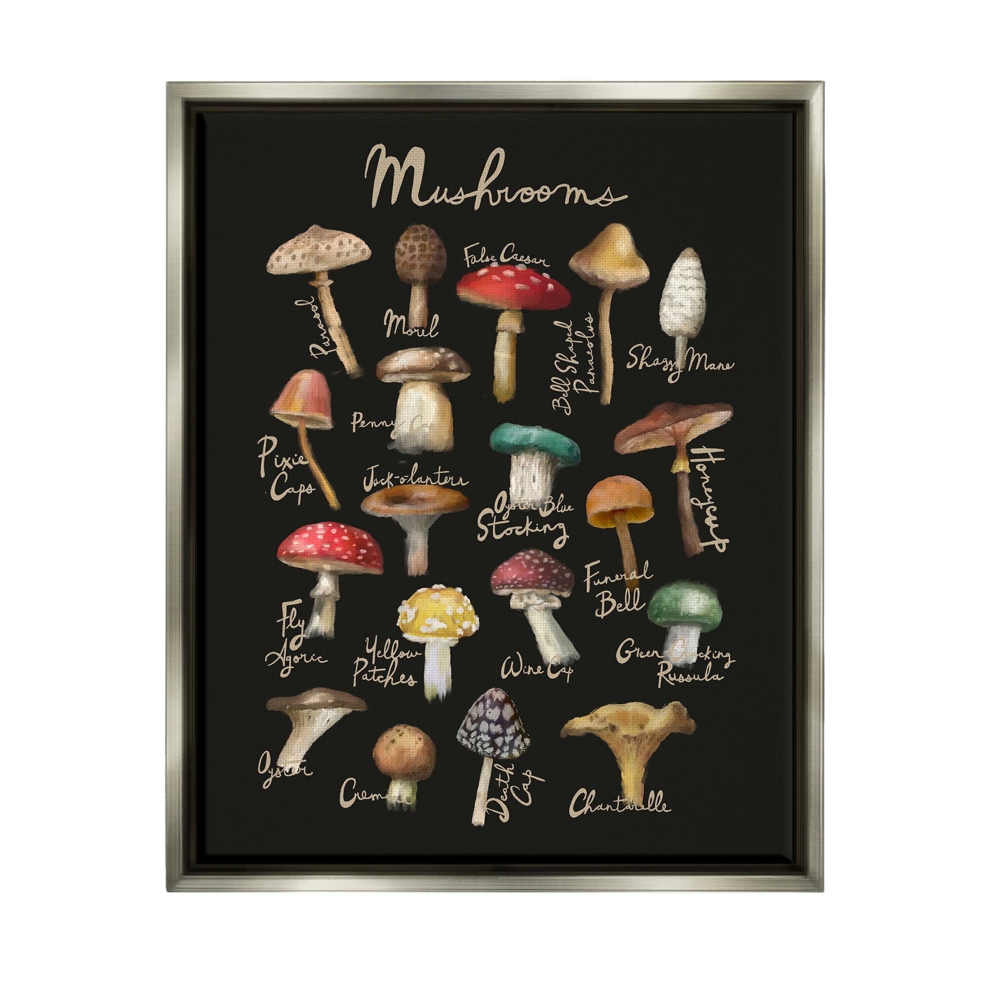 Stupell Industries Varied Mushrooms Kitchen Chart Landscape Painting Gray Floater Framed Art Print Wall Art