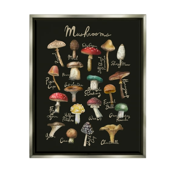 Stupell Industries Varied Mushrooms Kitchen Chart Landscape Painting Gray Floater Framed Art Print Wall Art
