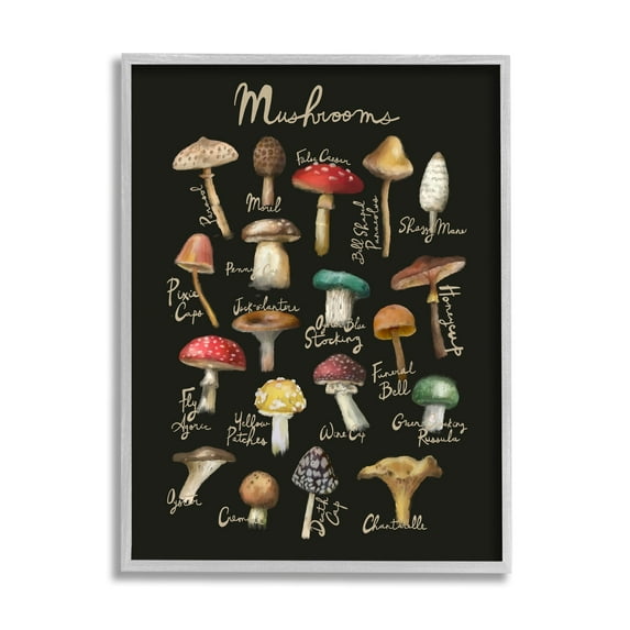 Stupell Industries Varied Mushrooms Kitchen Chart Landscape Painting Gray Framed Art Print Wall Art