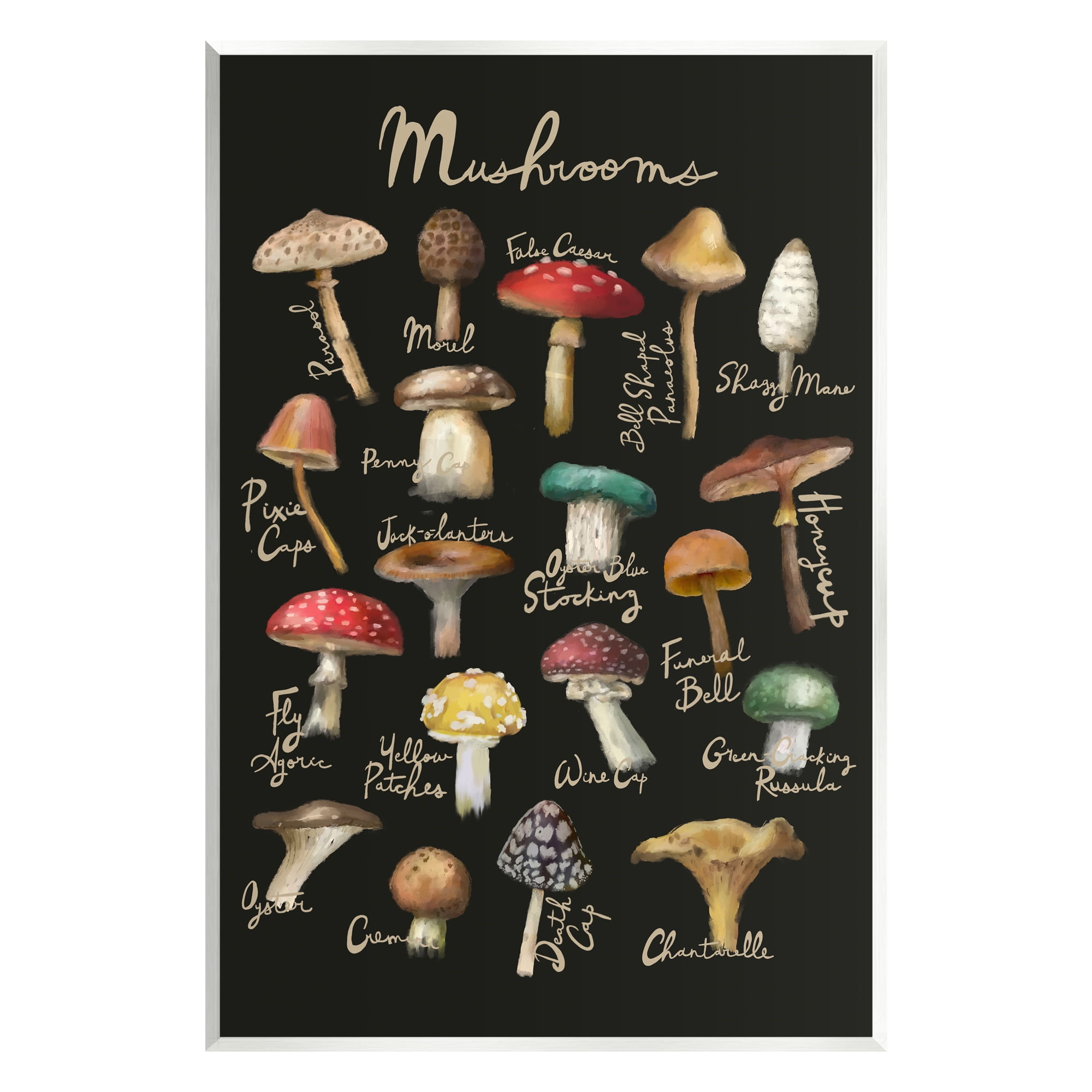 Stupell Industries Varied Mushrooms Kitchen Chart Landscape Painting Unframed Art Print Wall Art
