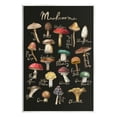 thumbnail image 1 of Stupell Industries Varied Mushrooms Kitchen Chart Landscape Painting Unframed Art Print Wall Art, 1 of 6
