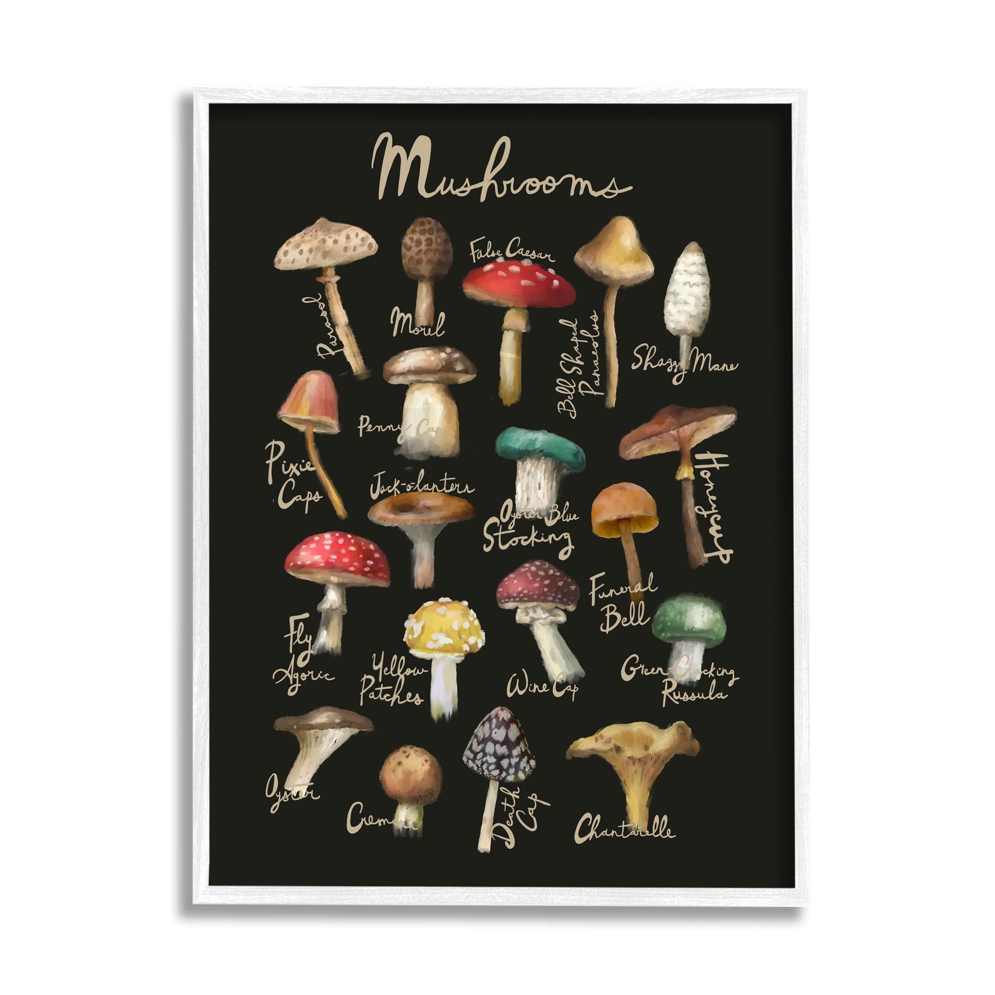 Stupell Industries Varied Mushrooms Kitchen Chart Landscape Painting White Framed Art Print Wall Art