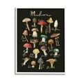 thumbnail image 1 of Stupell Industries Varied Mushrooms Kitchen Chart Landscape Painting White Framed Art Print Wall Art, 1 of 5