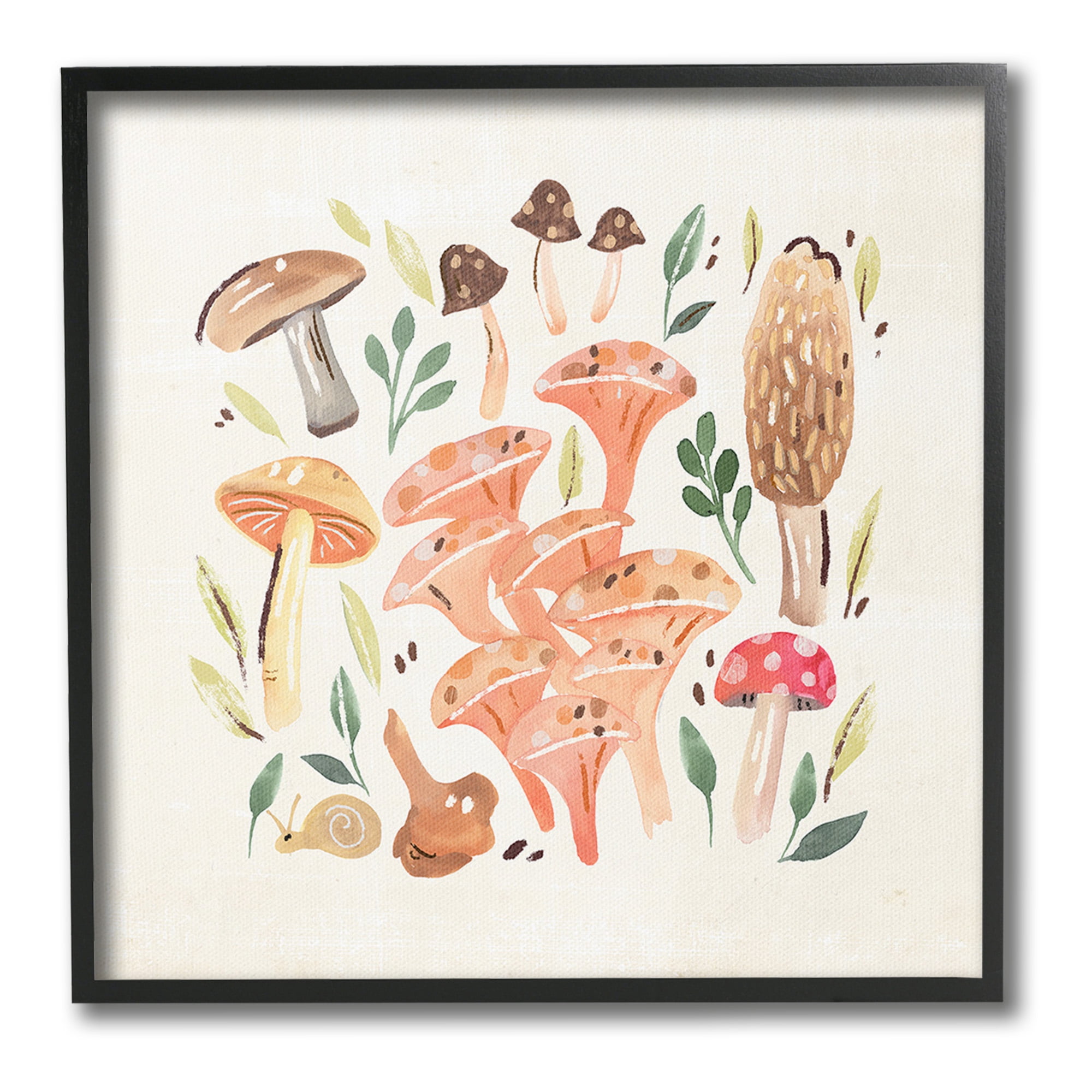 Stupell Industries Varied Mushrooms & Snail Botanical & Floral Painting Black Framed Art Print Wall Art, 12 x 12