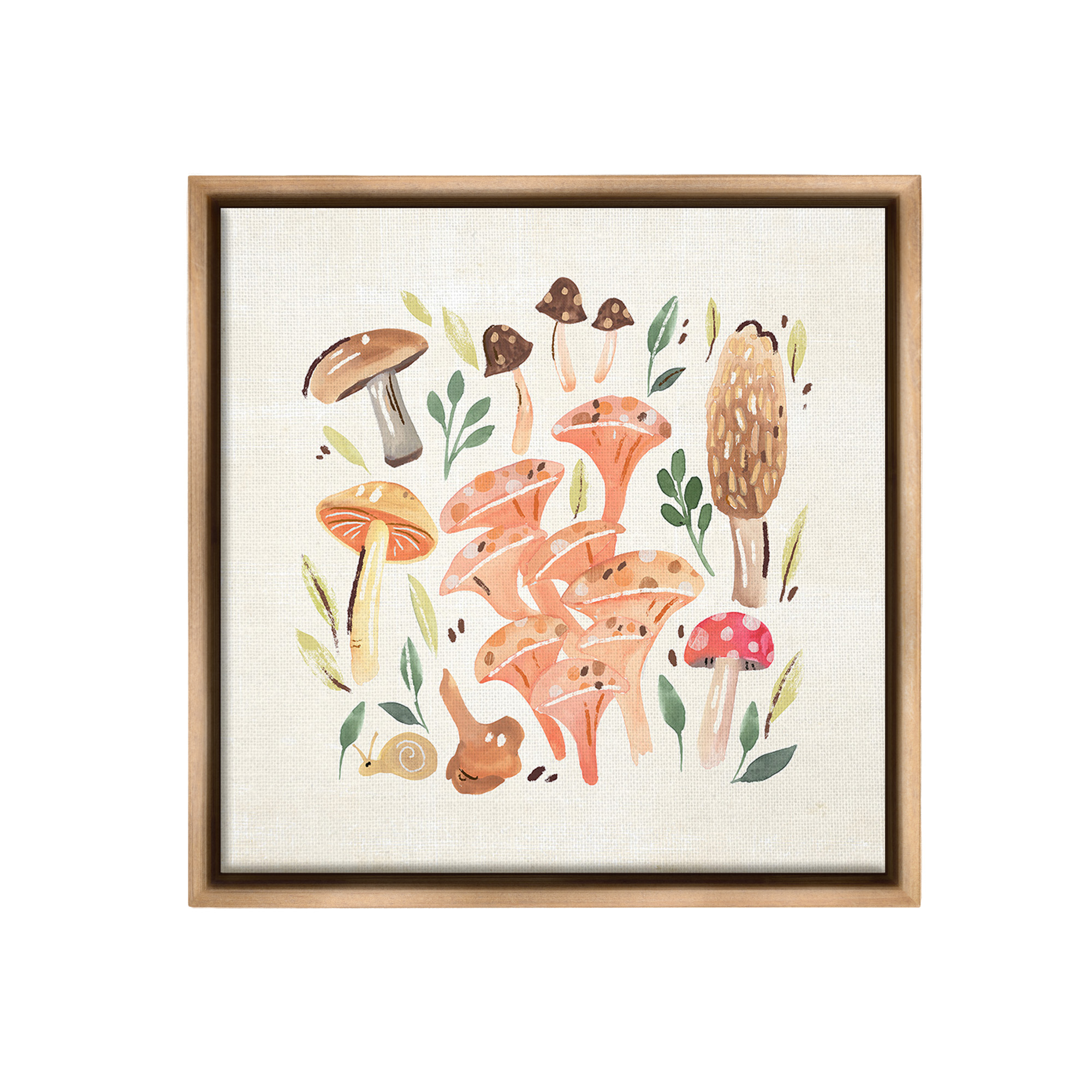 Stupell Industries Varied Mushrooms & Snail Botanical & Floral Painting Brown Floater Framed Canvas Art Print Wall Art, 18 x 18