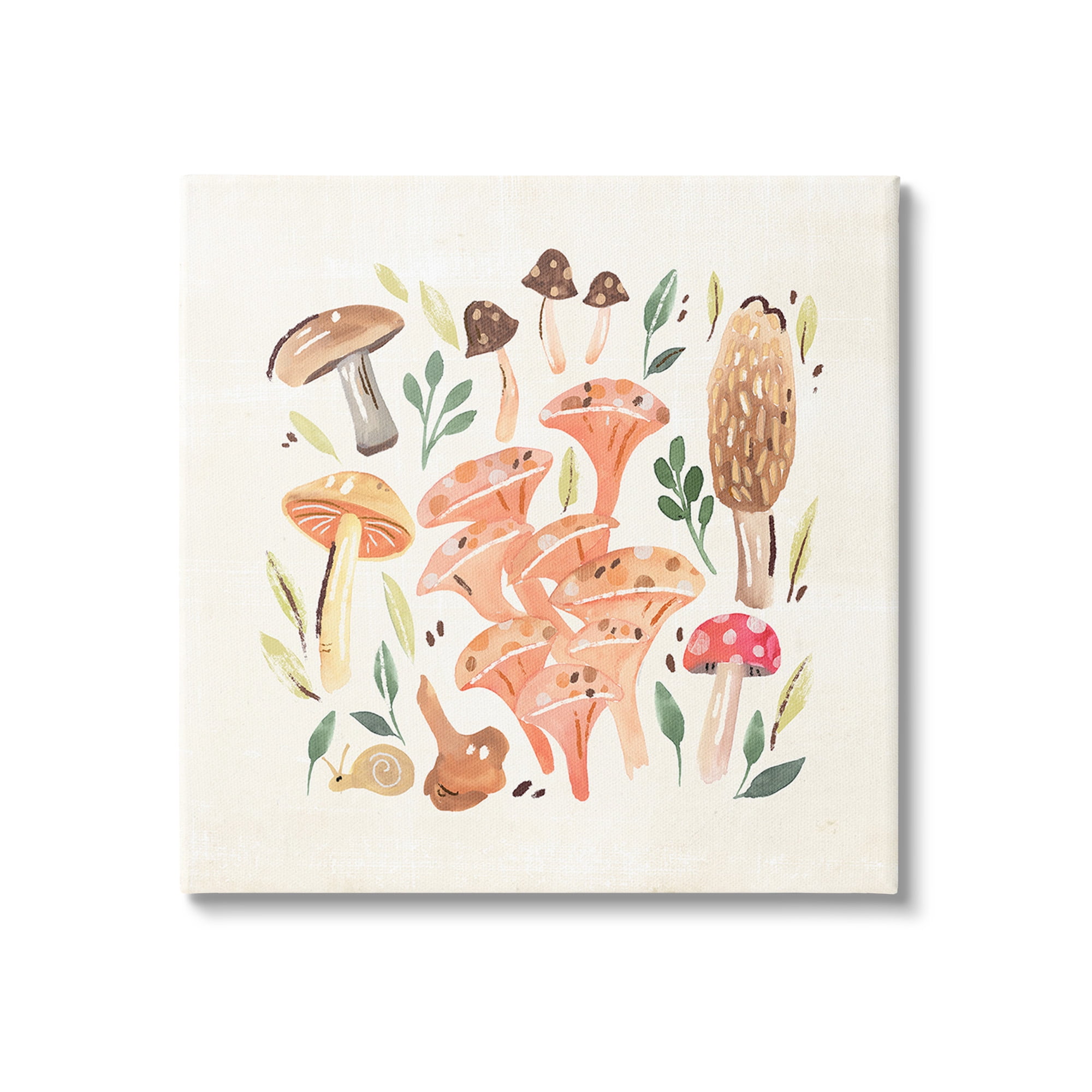 Stupell Industries Varied Mushrooms & Snail Botanical & Floral Painting Gallery Wrapped Canvas Art Print Wall Art, 24 x 24