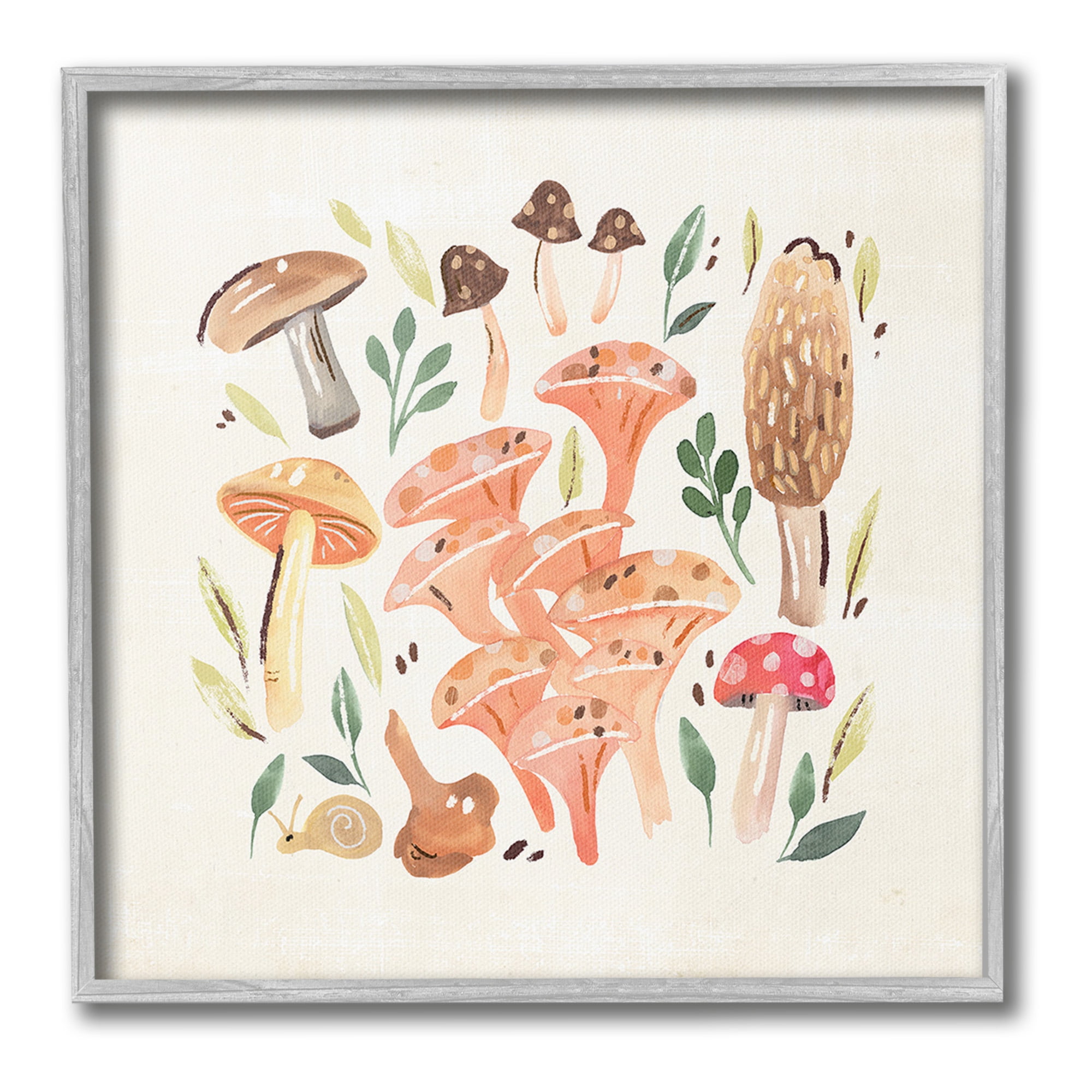 Stupell Industries Varied Mushrooms & Snail Botanical & Floral Painting Gray Framed Art Print Wall Art, 24 x 24