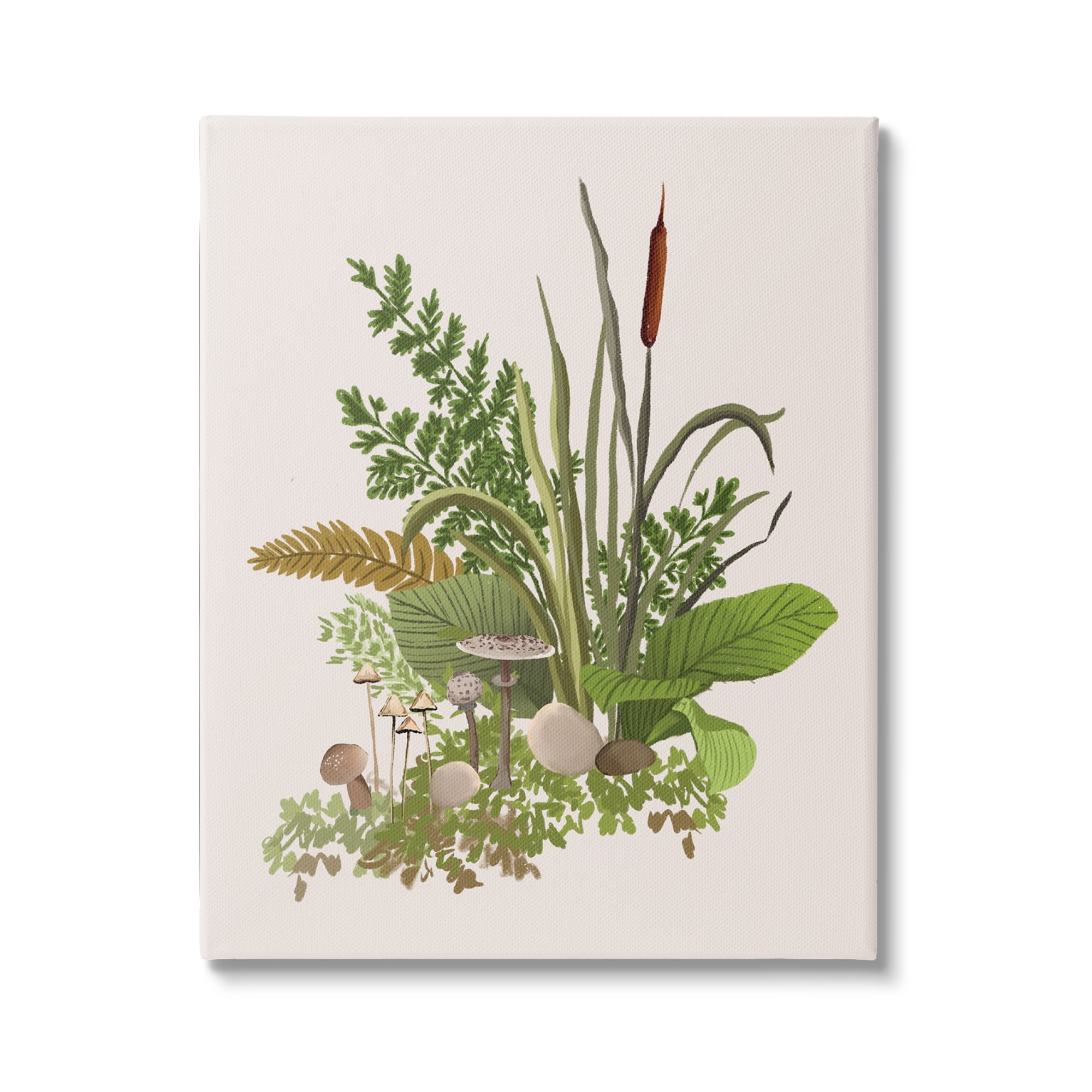 Stupell Industries Varied Nature Botanicals Forest Floor Mushrooms Arrangement Graphic Art Gallery Wrapped Canvas Print Wall Art, Design by House of Rose