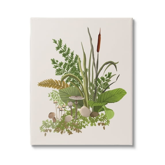 Stupell Industries Varied Nature Botanicals Forest Floor Mushrooms Arrangement Graphic Art Gallery Wrapped Canvas Print Wall Art, Design by House of Rose