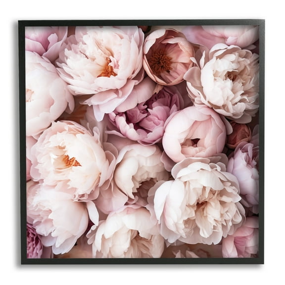 Stupell Industries Varied Peony Blooms Botanical & Floral Photography Black Framed Art Print Wall Art, 12 x 12