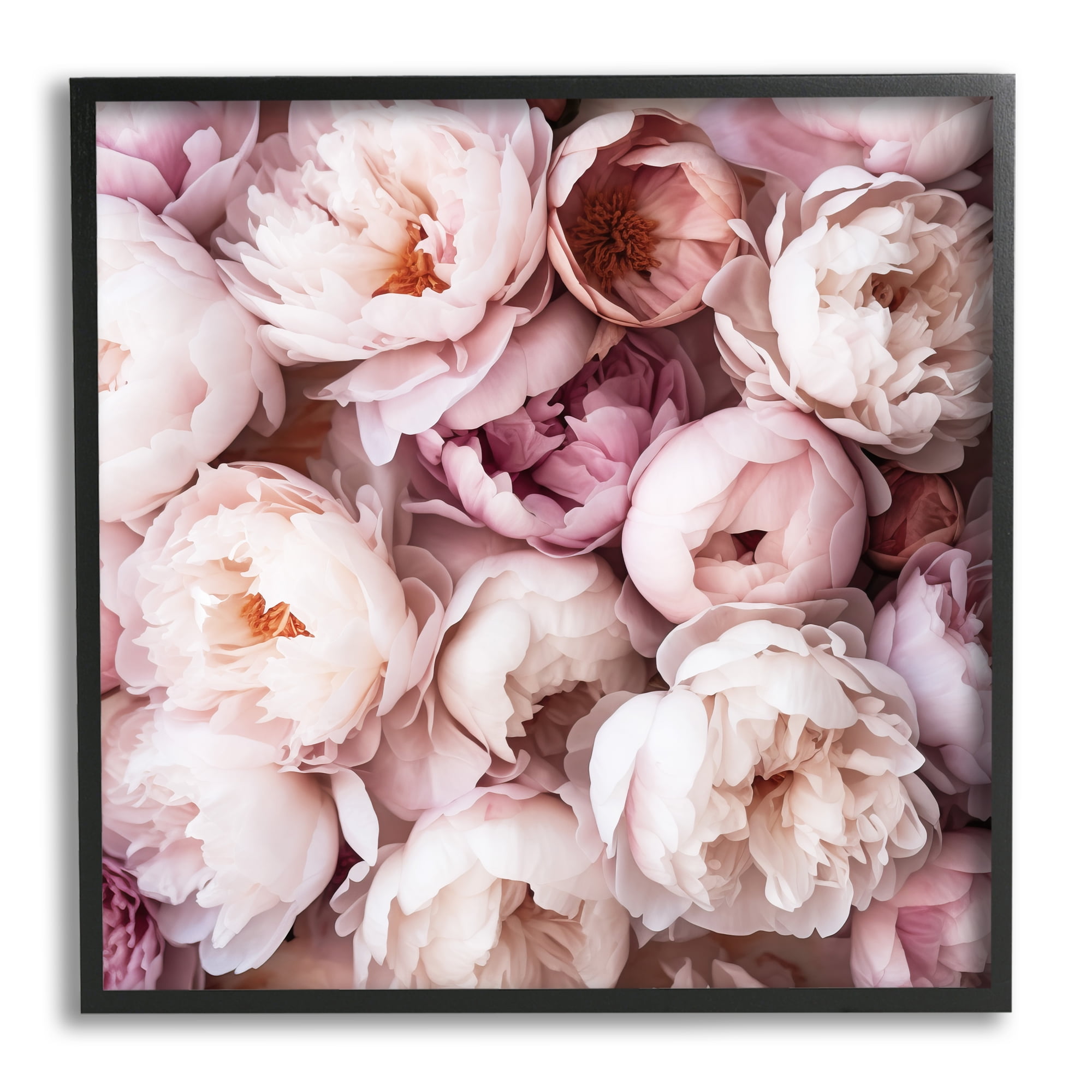 Stupell Industries Varied Peony Blooms Botanical & Floral Photography Black Framed Art Print Wall Art, 24 x 24