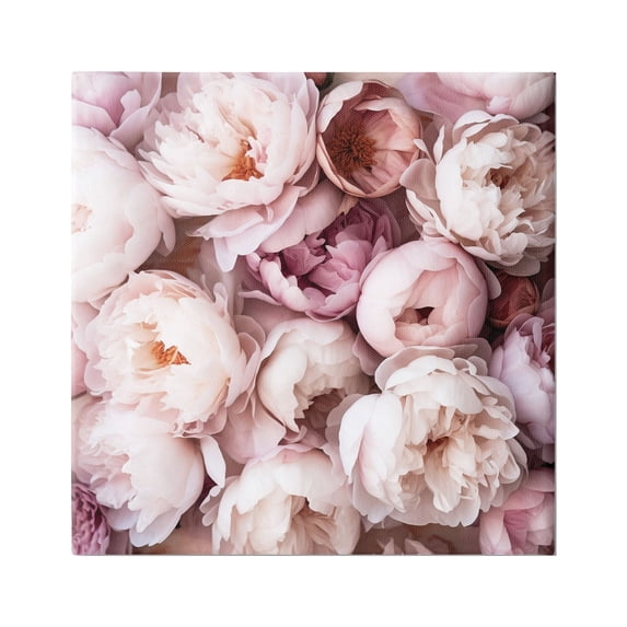 Stupell Industries Varied Peony Blooms Botanical & Floral Photography Gallery Wrapped Canvas Art Print Wall Art, 17 x 17