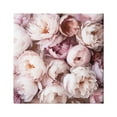 thumbnail image 1 of Stupell Industries Varied Peony Blooms Botanical & Floral Photography Gallery Wrapped Canvas Art Print Wall Art, 36 x 36, 1 of 8