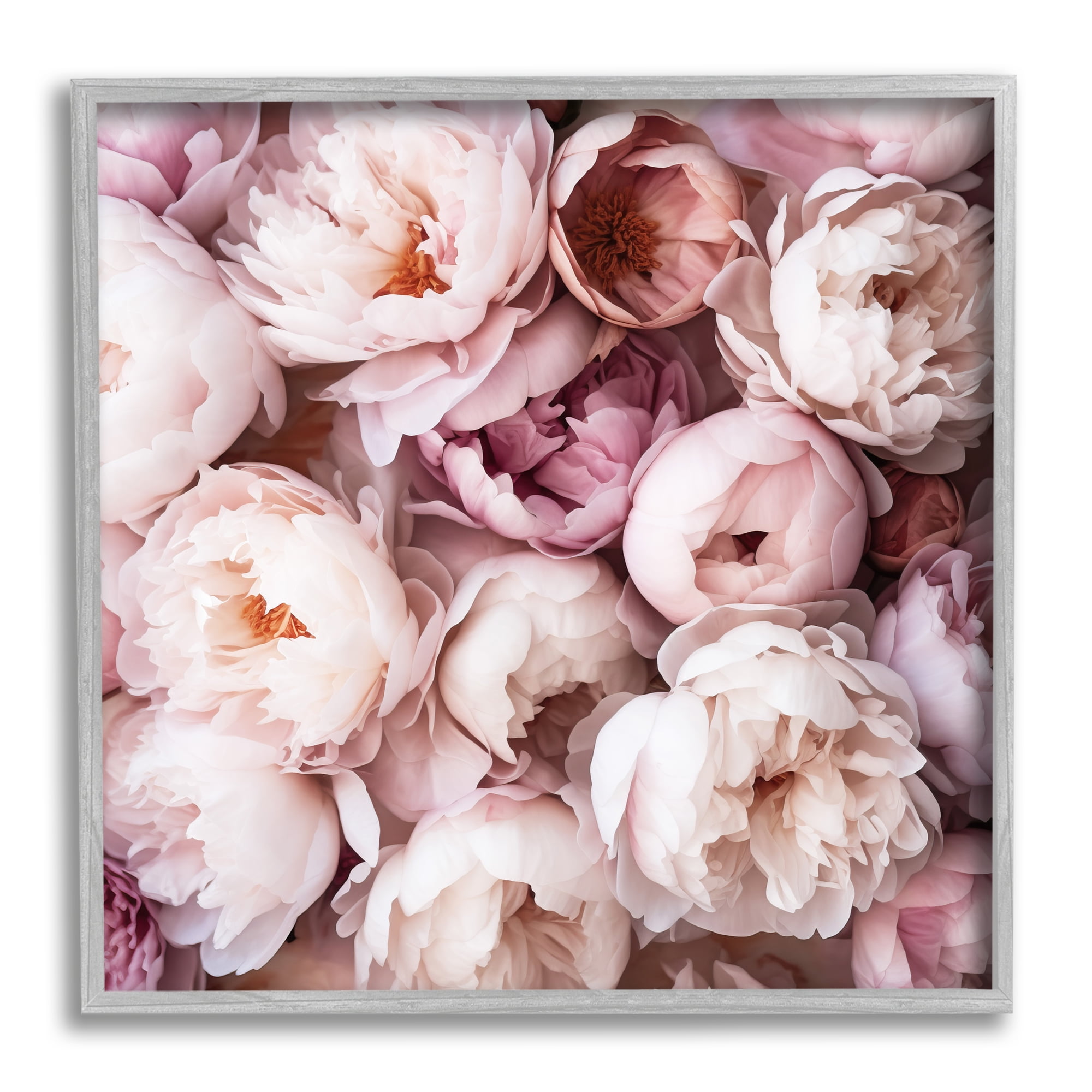 Stupell Industries Varied Peony Blooms Botanical & Floral Photography Gray Framed Art Print Wall Art, 17 x 17