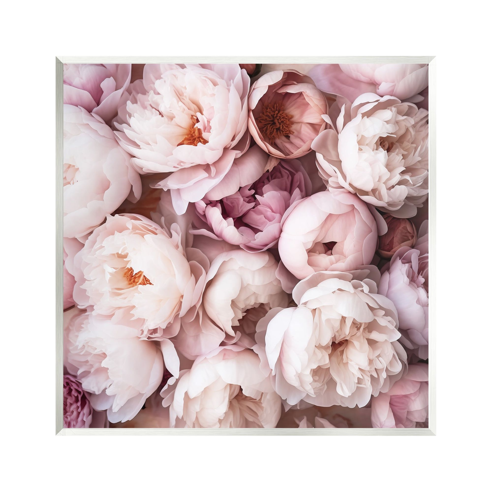 Stupell Industries Varied Peony Blooms Botanical & Floral Photography Unframed Art Print Wall Art, 12 x 12
