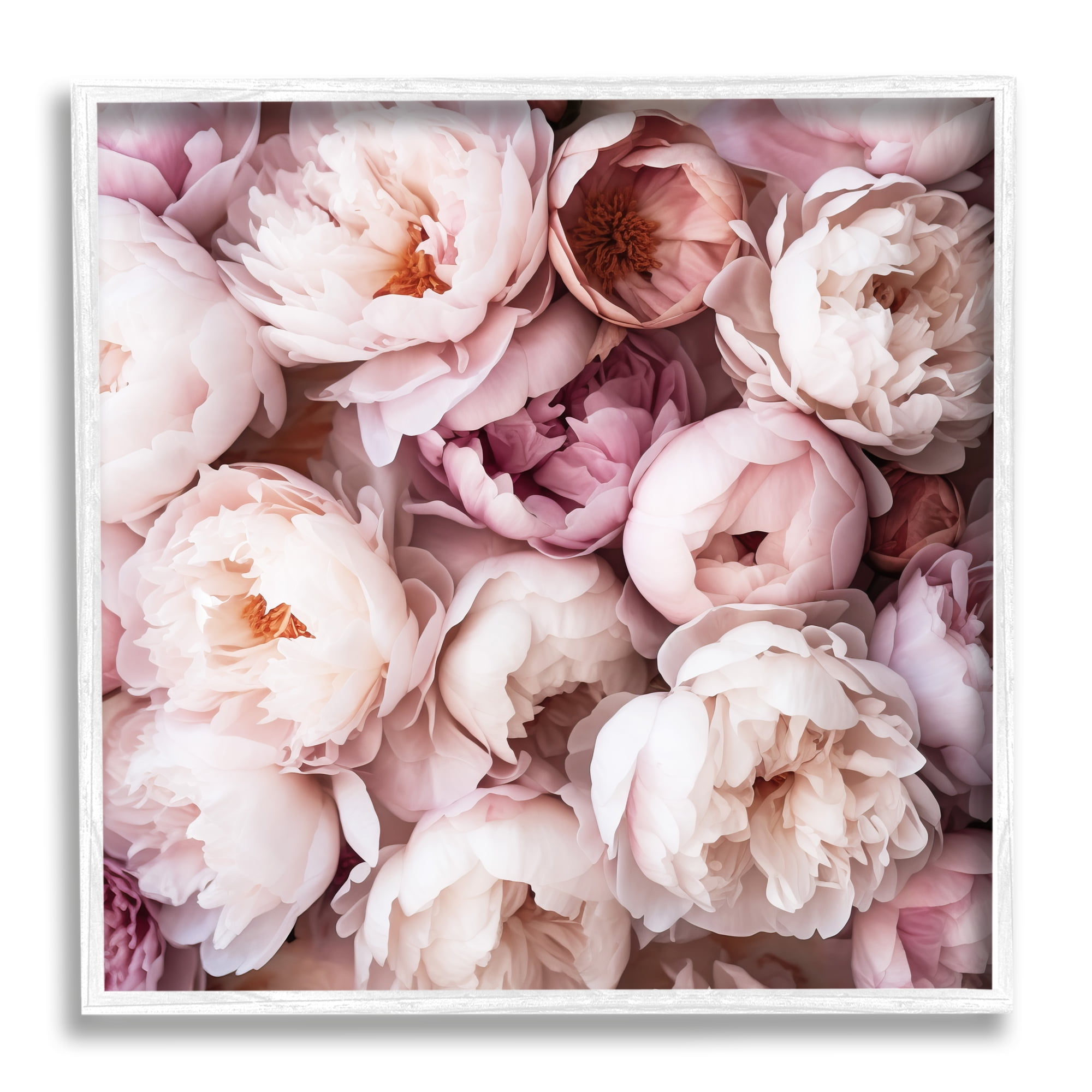 Stupell Industries Varied Peony Blooms Botanical & Floral Photography White Framed Art Print Wall Art, 17 x 17