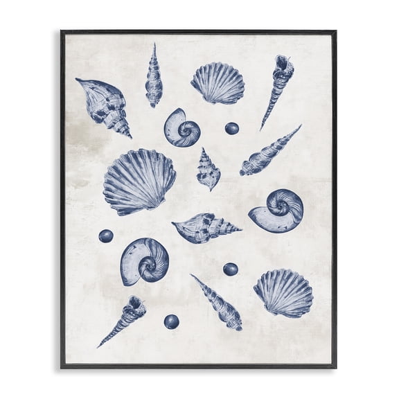 Stupell Industries Varied Seashells Pattern Black Framed Giclee Art design by Jacob Q, 14 x 11