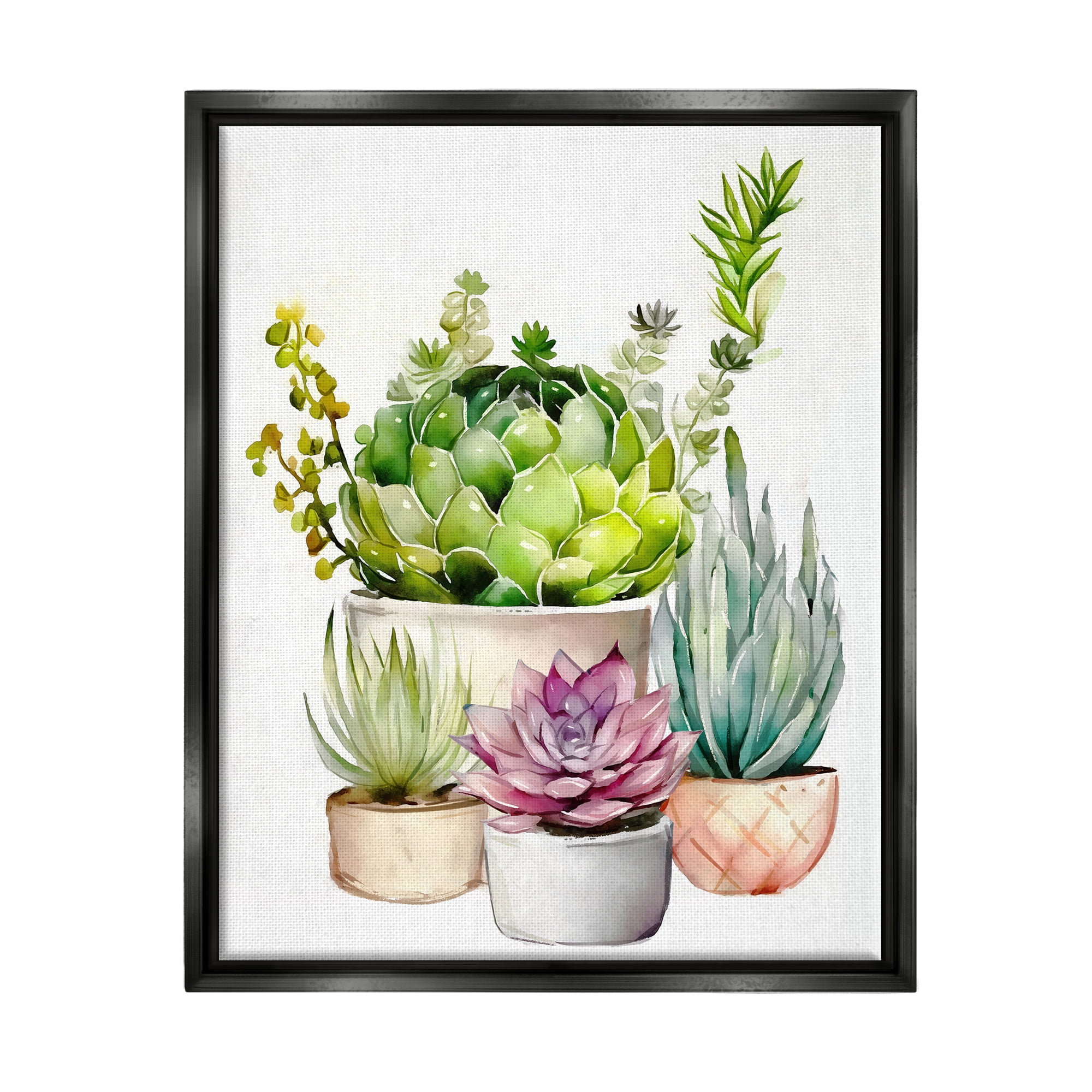 Stupell Industries Varied Succulent Garden Plants Botanical & Floral Painting Black Floater Framed Art Print Wall Art