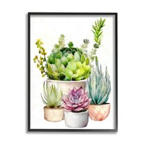 Stupell Industries Varied Succulent Garden Plants Botanical & Floral Painting Black Framed Art Print Wall Art