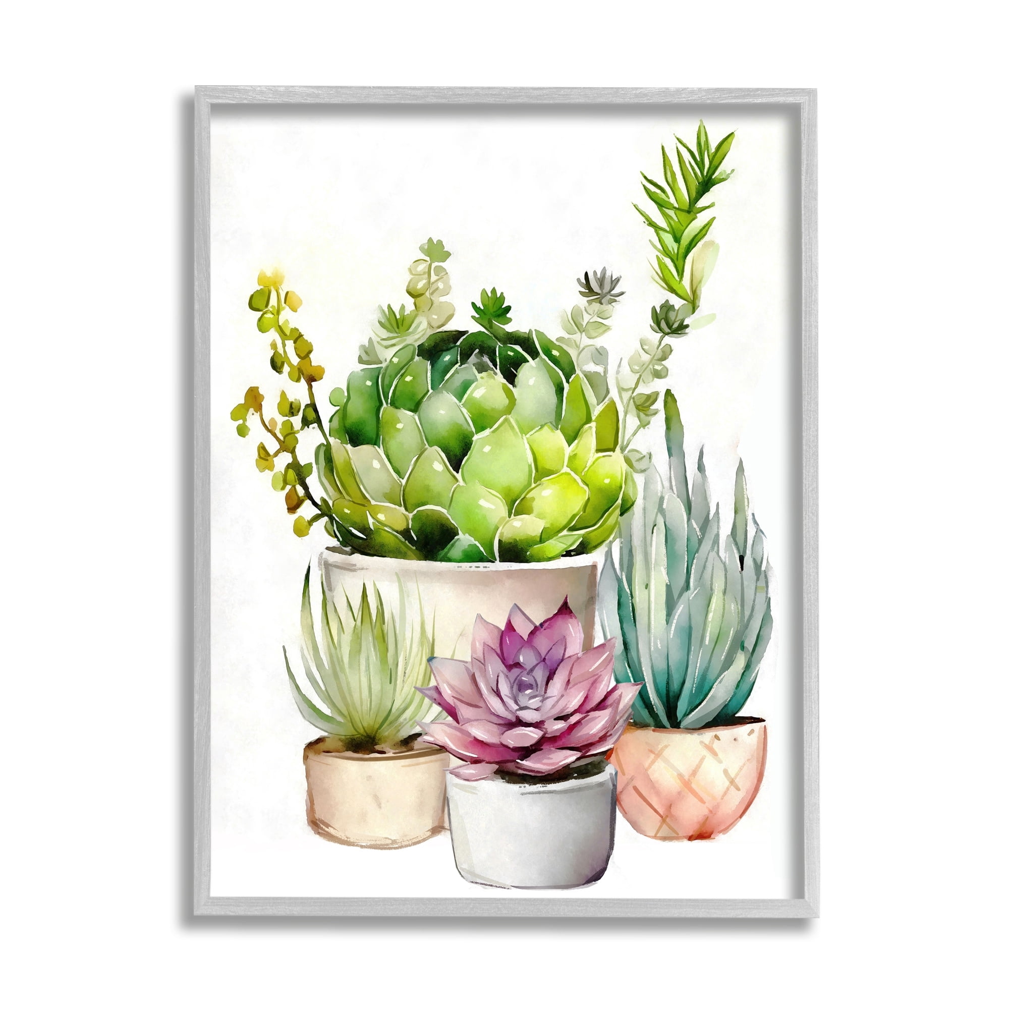 Stupell Industries Varied Succulent Garden Plants Botanical & Floral Painting Gray Framed Art Print Wall Art