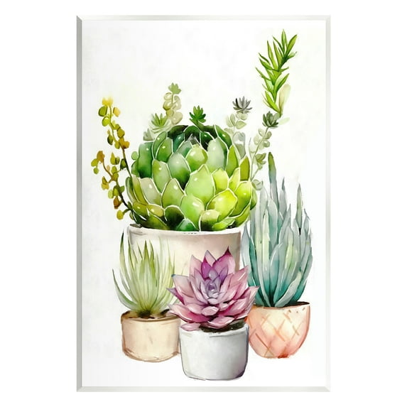 Stupell Industries Varied Succulent Garden Plants Botanical & Floral Painting Unframed Art Print Wall Art