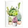 thumbnail image 1 of Stupell Industries Varied Succulent Garden Plants Botanical & Floral Painting Unframed Art Print Wall Art, 1 of 6
