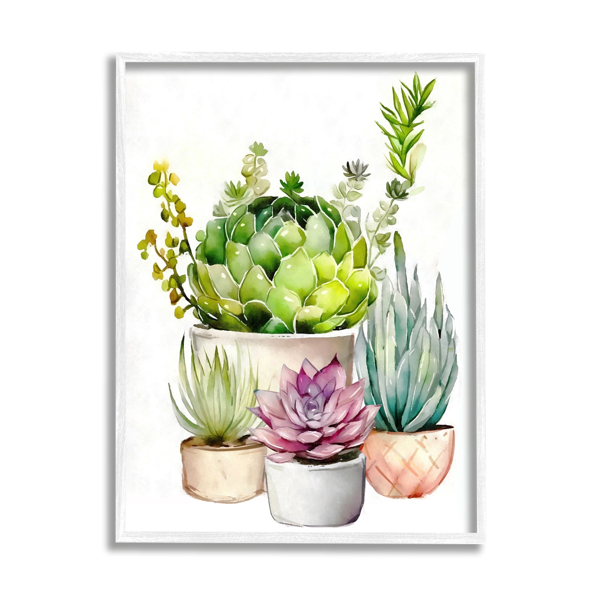 Stupell Industries Varied Succulent Garden Plants Botanical & Floral Painting White Framed Art Print Wall Art