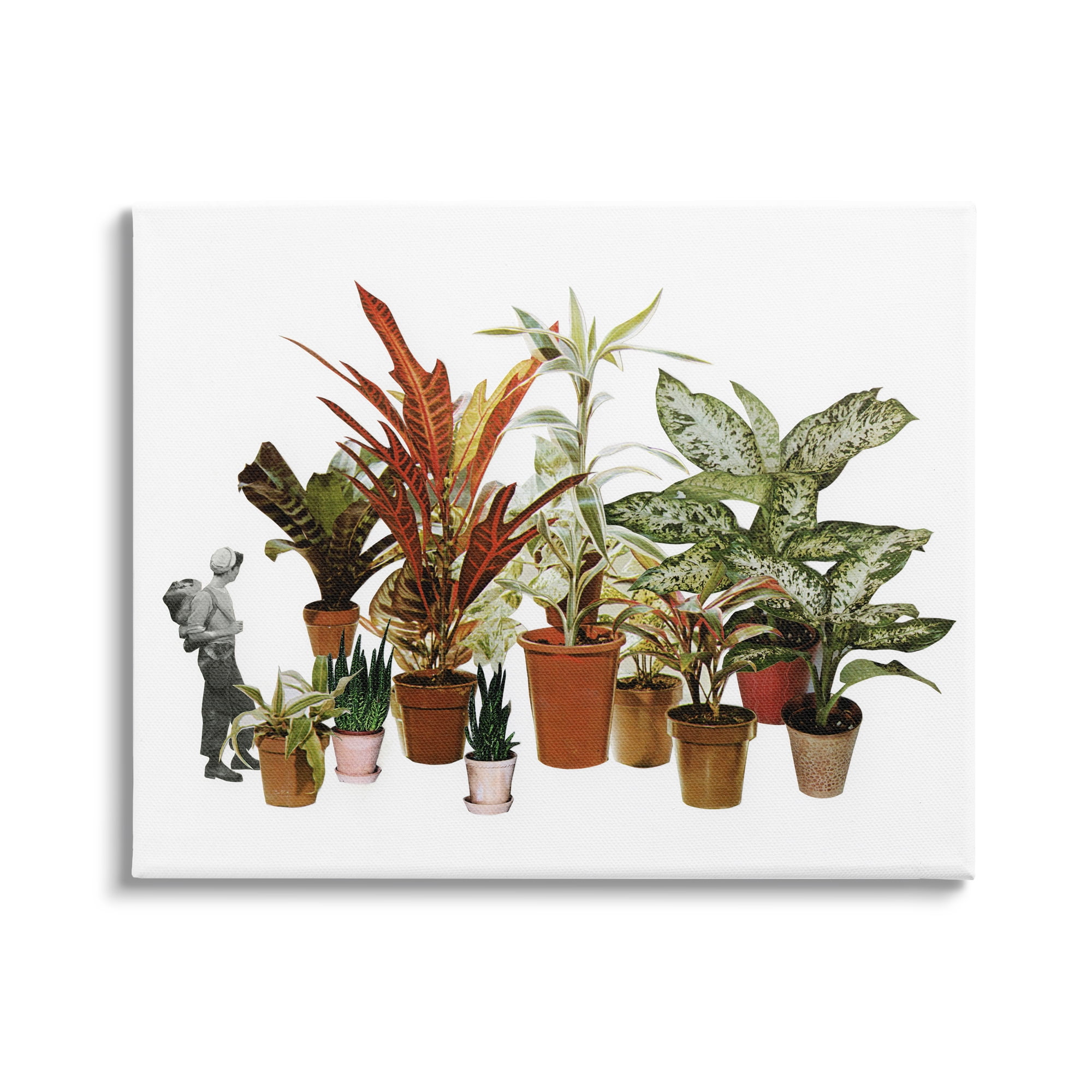 Stupell Industries Varied Terracotta Potted House Plants Floral Person Collage Canvas Wall Art, 48 x 36, Design by Cassia Beck