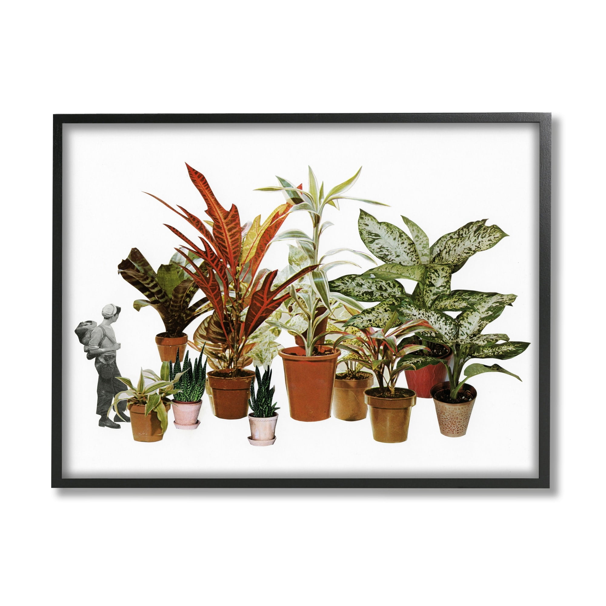 Stupell Industries Varied Terracotta Potted House Plants Floral Person Collage Framed Wall Art, 14 x 11, Design by Cassia Beck