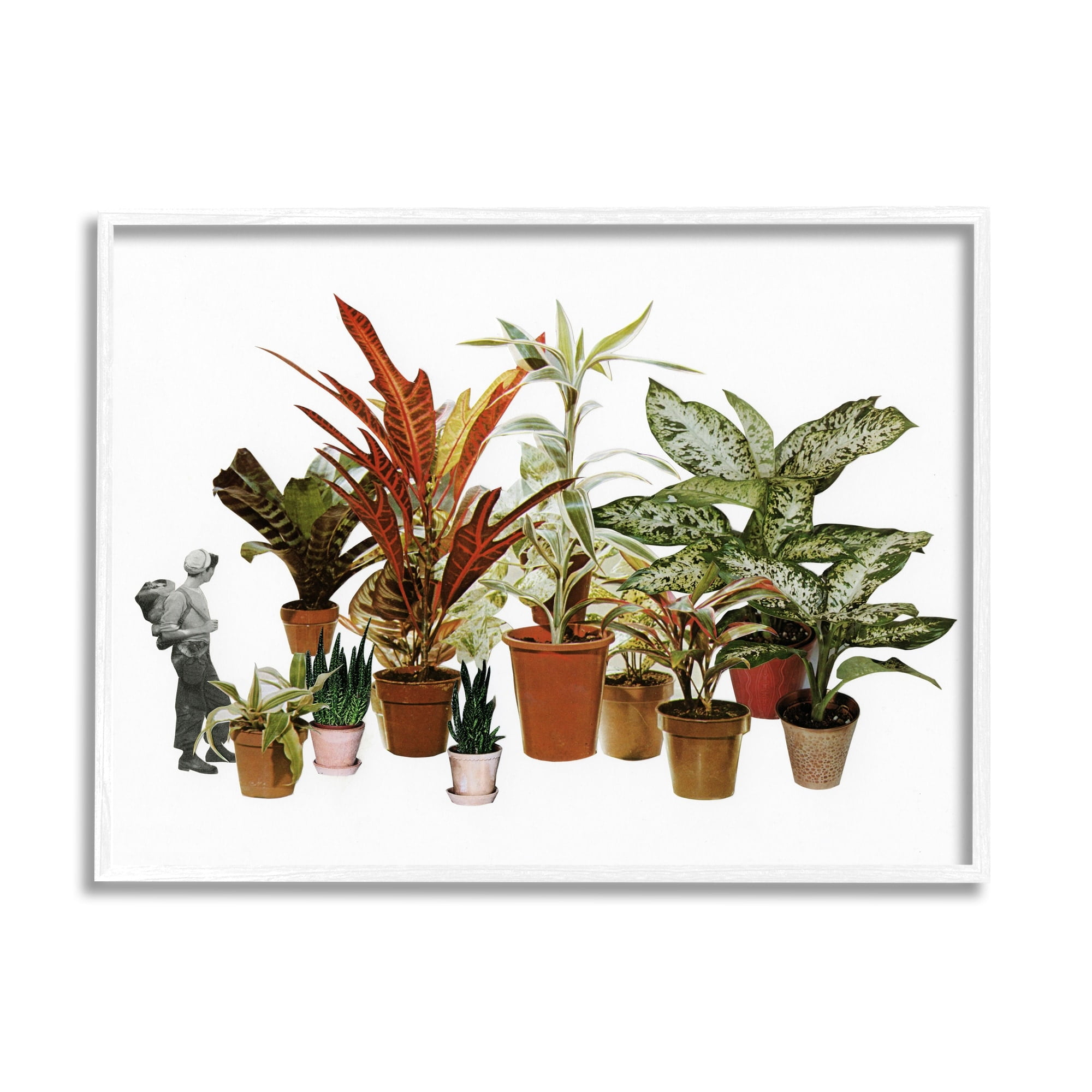Stupell Industries Varied Terracotta Potted House Plants Floral Person Collage Framed Wall Art, 14 x 11, Design by Cassia Beck