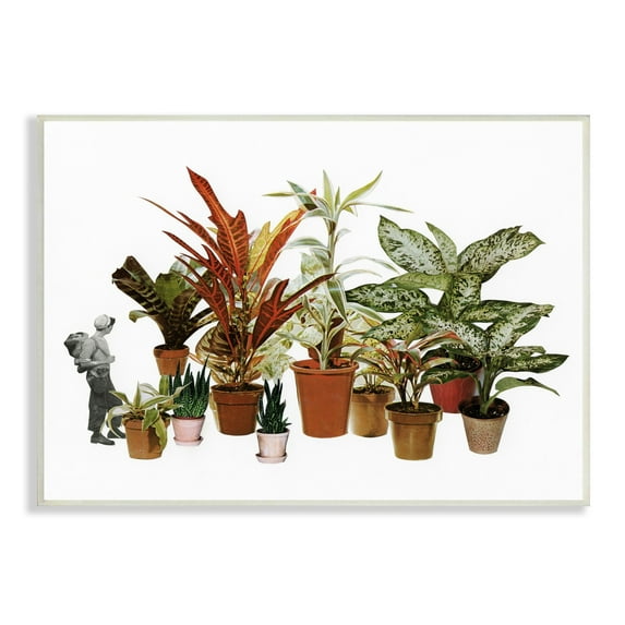 Stupell Industries Varied Terracotta Potted House Plants Floral Person Collage Wood Wall Art, 15 x 10, Design by Cassia Beck