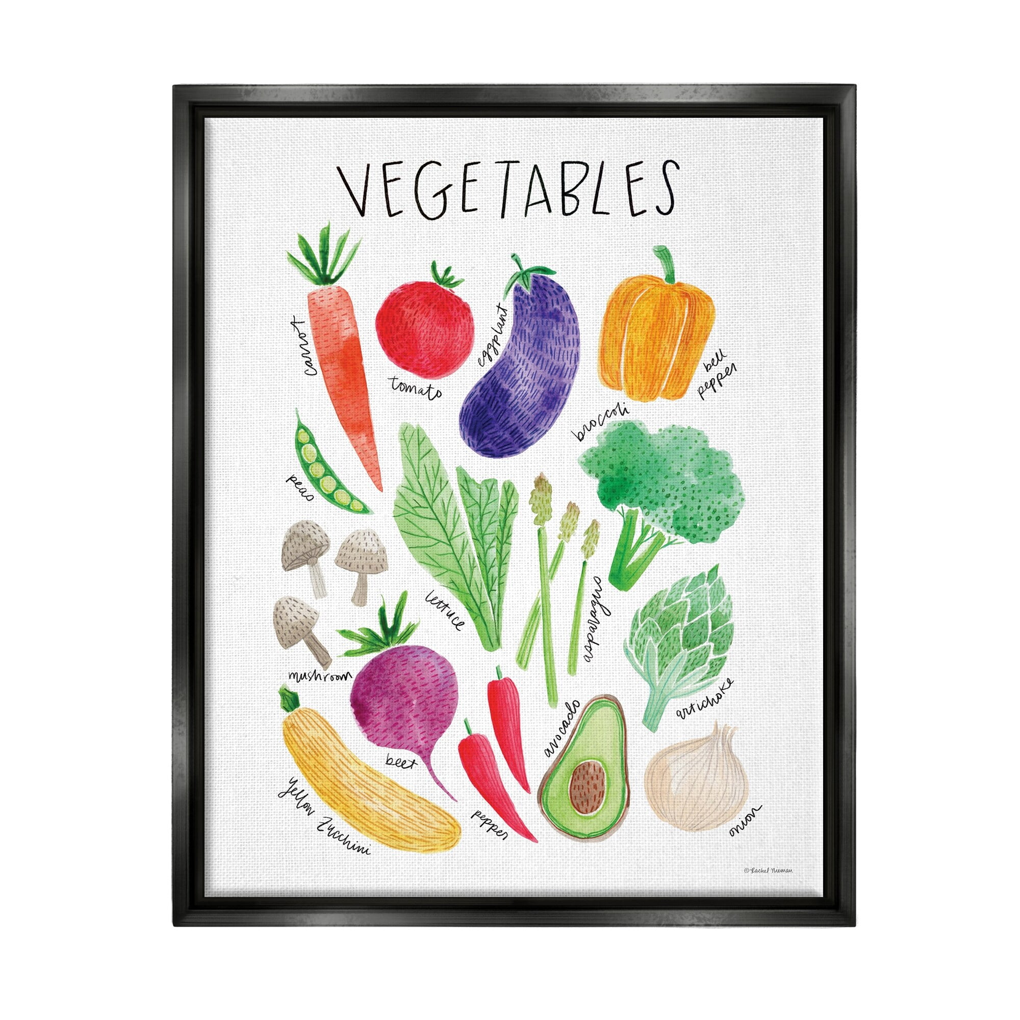 Stupell Industries Varied Vegetables Plants Labeled Diagram Kitchen Sign Graphic Art Jet Black Floating Framed Canvas Print Wall Art, Design by Rachel Nieman