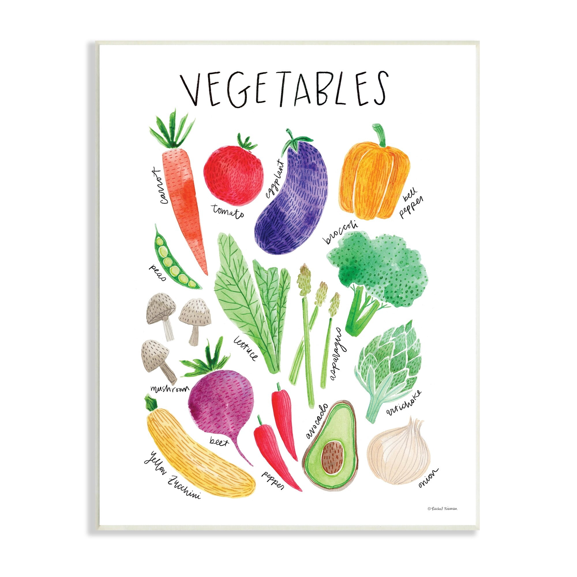 Stupell Industries Varied Vegetables Plants Labeled Diagram Kitchen Sign Graphic Art Unframed Art Print Wall Art, Design by Rachel Nieman