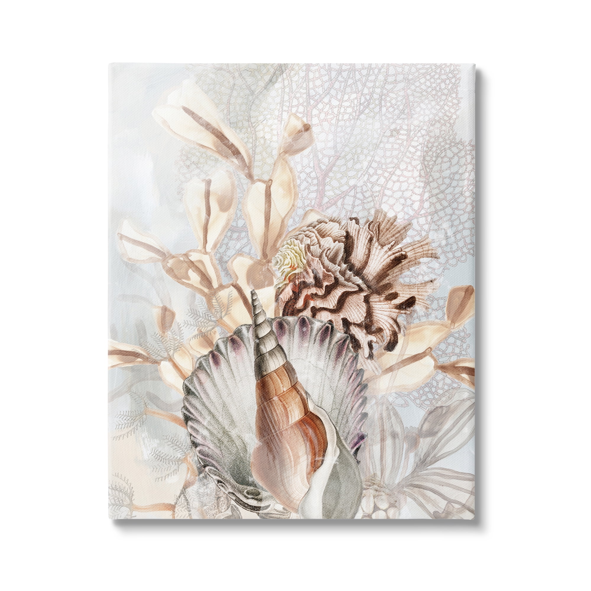 Stupell Industries Various Beige Sea Life Animals & Insects Painting Gallery Wrapped Canvas Art Print Wall Art, 24 x 30
