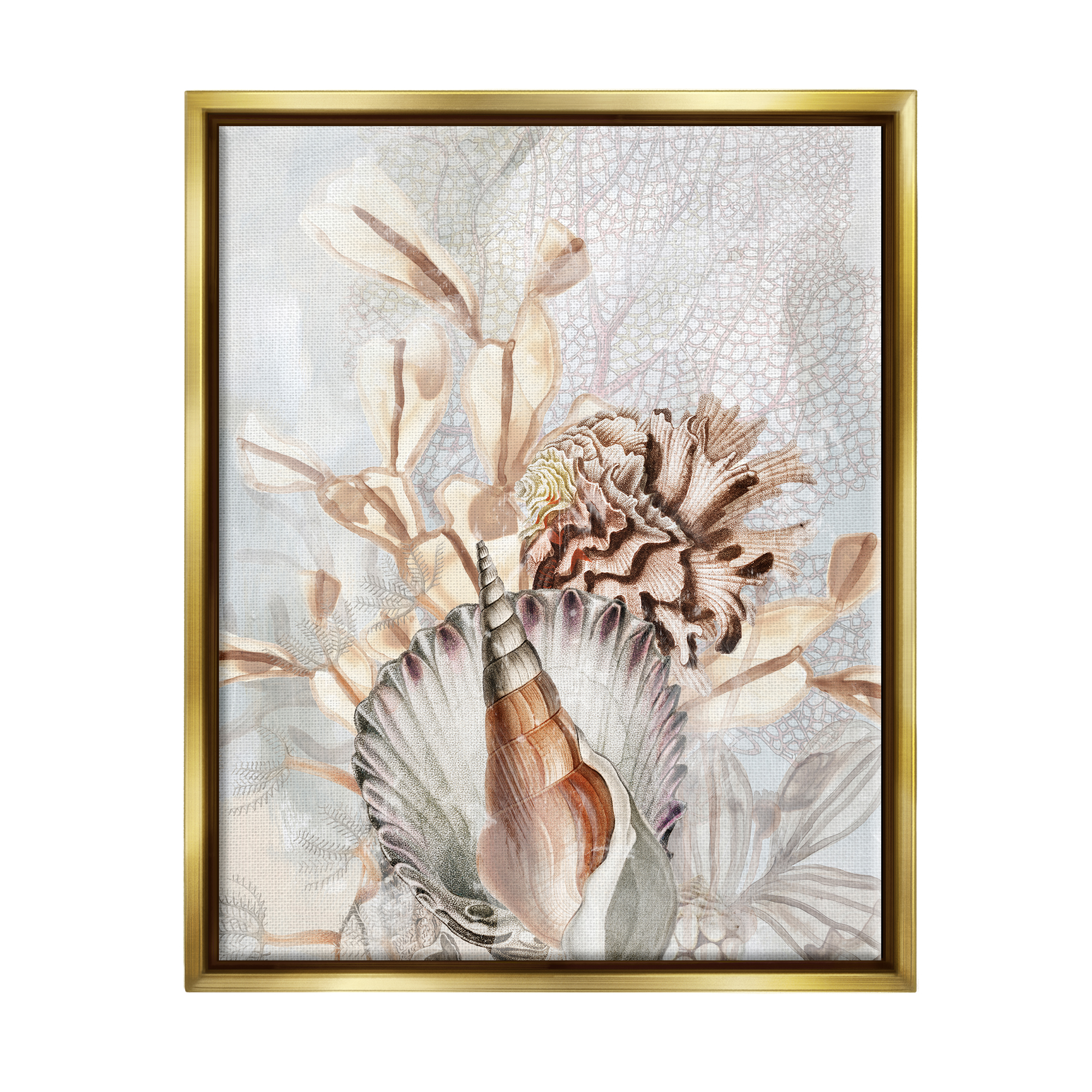 Stupell Industries Various Beige Sea Life Animals & Insects Painting Gold Floater Framed Canvas Art Print Wall Art, 25 x 31