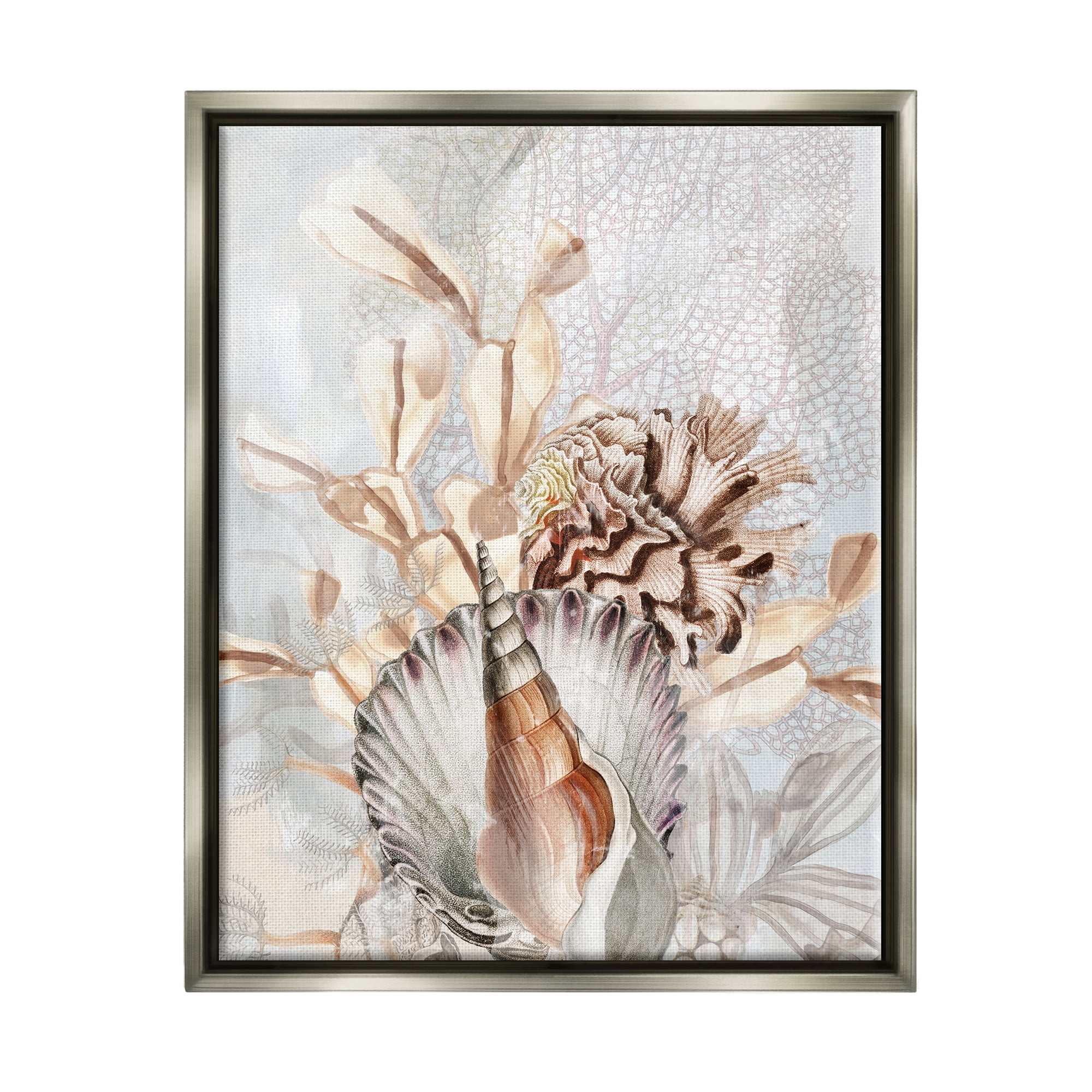 Stupell Industries Various Beige Sea Life Animals & Insects Painting Gray Floater Framed Canvas Art Print Wall Art, 17 x 21